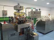 Machine pharmaceutique d'encapsulation de R&amp;D Softgel avec S403 de petite capacité